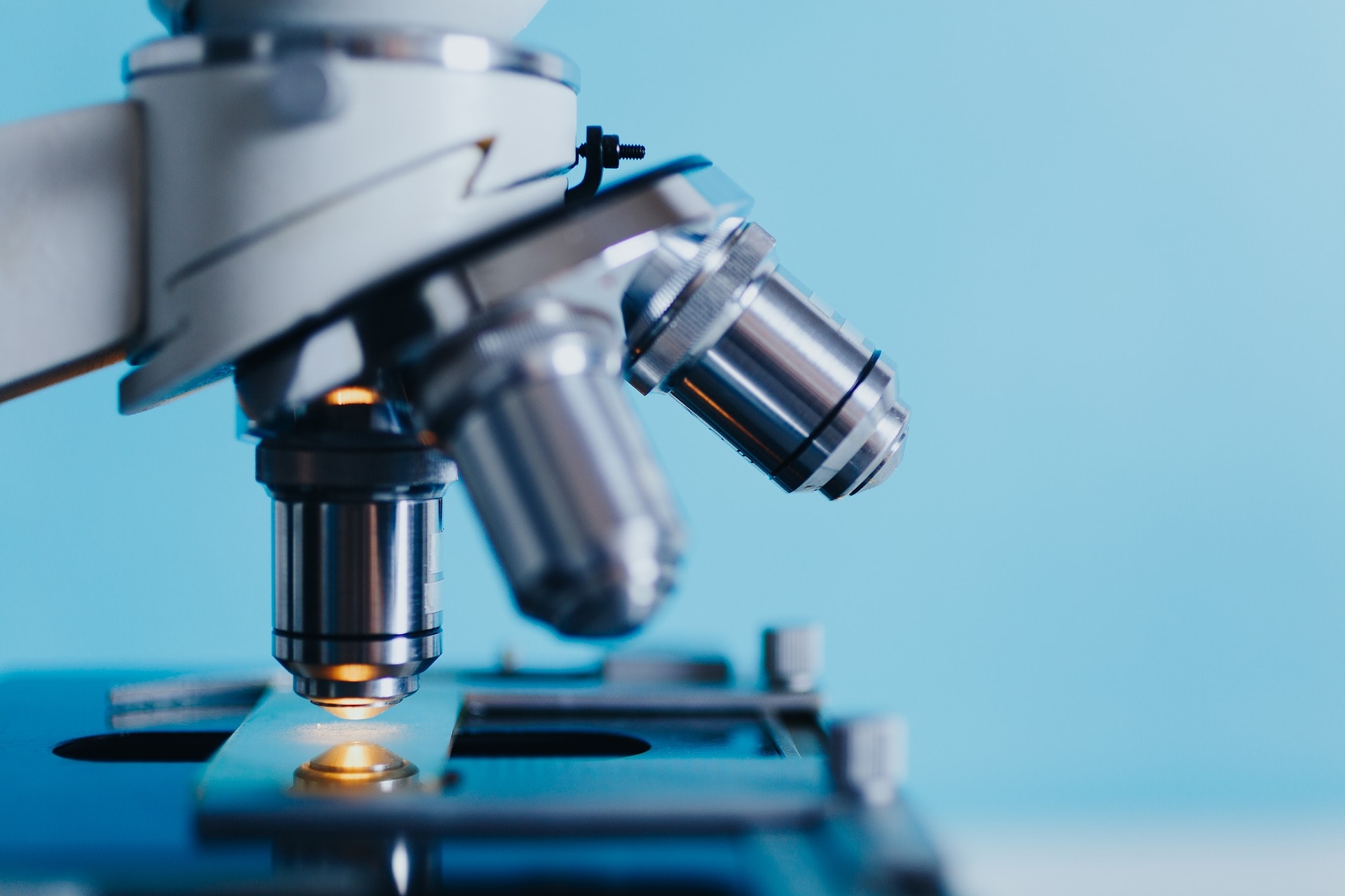 The Janus-Faced Nature of Cancer Immunity