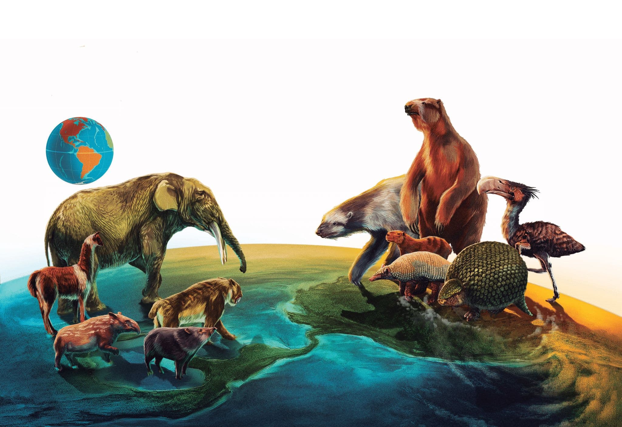 The puzzling history of South American mammals