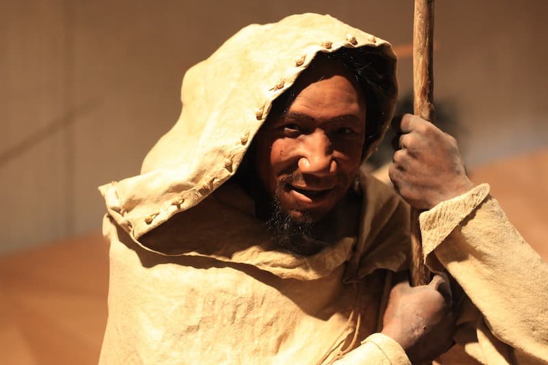 Tracing the Ancestral Roots of Neandertals